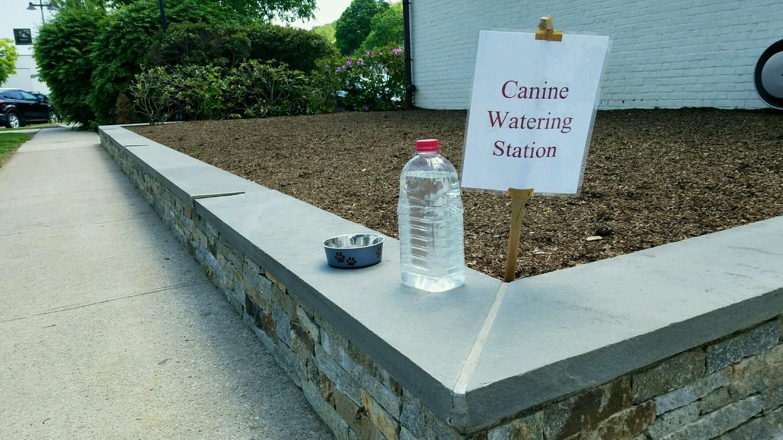 Wilton Center Real Estate Office Makes Sure Wilton Dogs are Hydrated