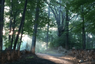 Local Wilton News Archives Good Morning Wilton